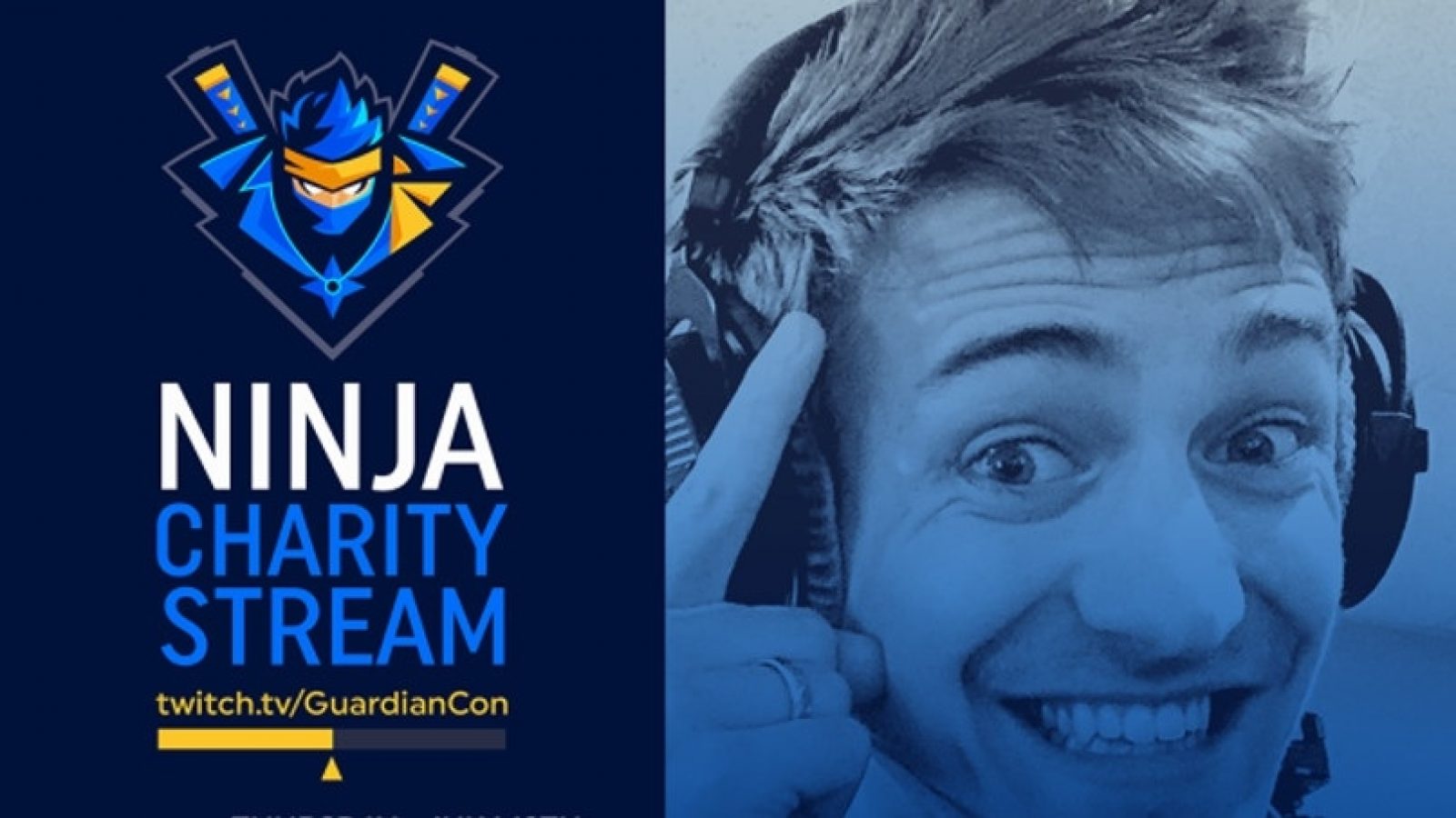 Charity stream Ninja