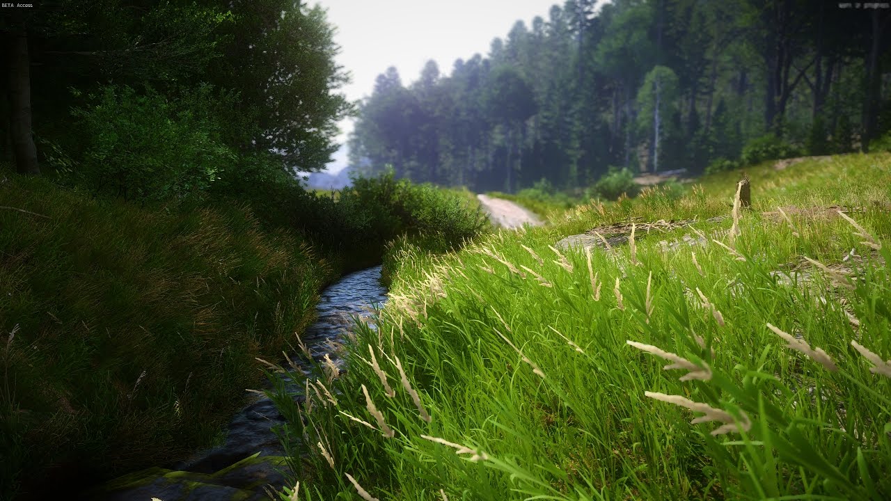 Kingdom Come: Deliverance along the stream