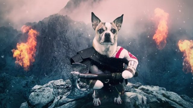 Dog of War is heading on consoles